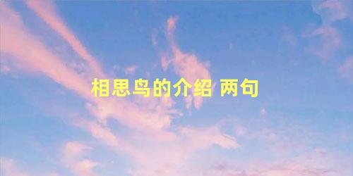 相思鸟的介绍 两句